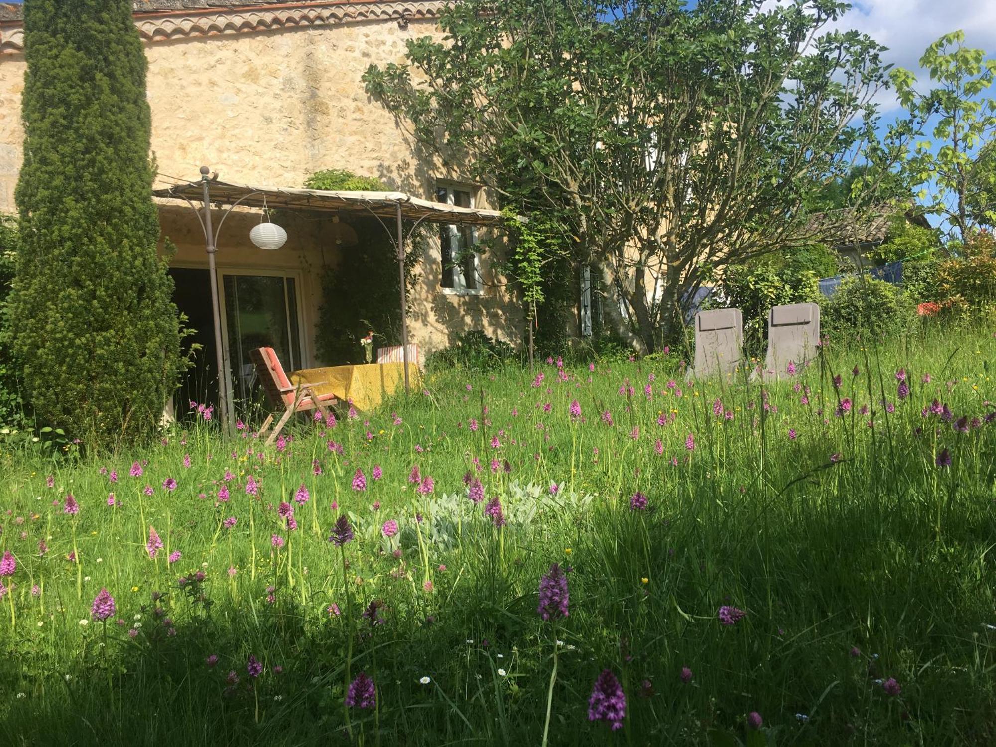 Puechblanc Gites Et Chambre D'Hote Dans Le Triangle D'Or Gaillac-Albi-Cordes Sur Ciel Fayssac Exteriör bild